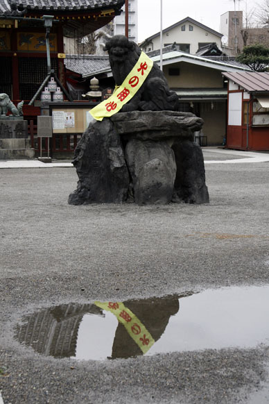 写真7
