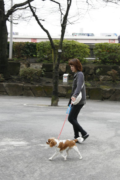 写真10