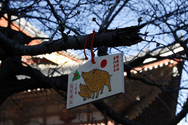 写真12
