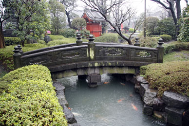 写真12