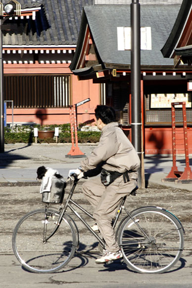 写真12