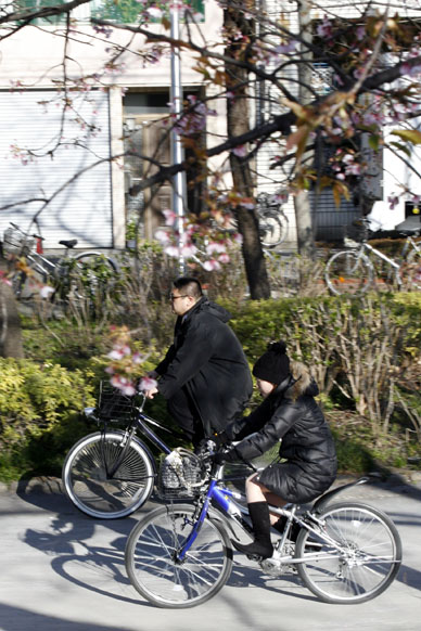 写真12