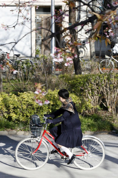 写真12