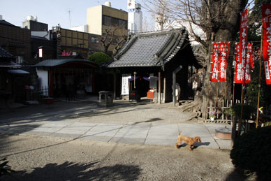 写真12