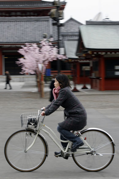 写真7