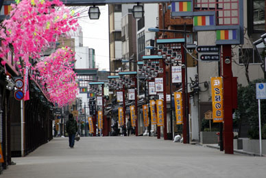 写真12
