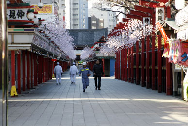 写真2