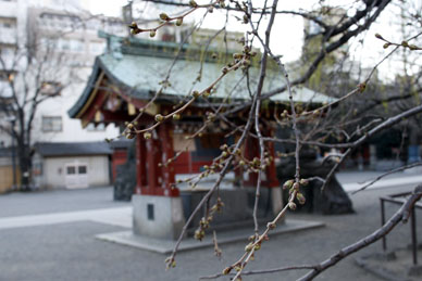 写真12