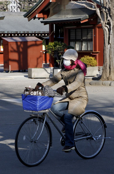 写真12