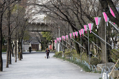 写真12