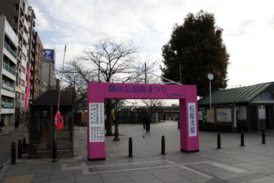写真12