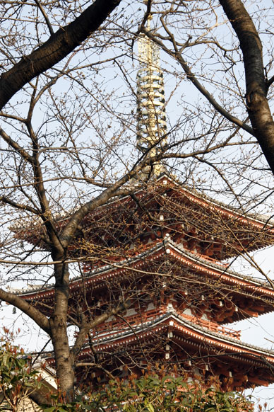 写真3