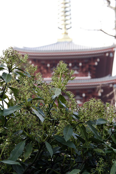 写真12