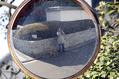 写真12