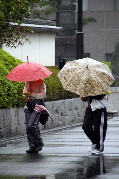 写真12