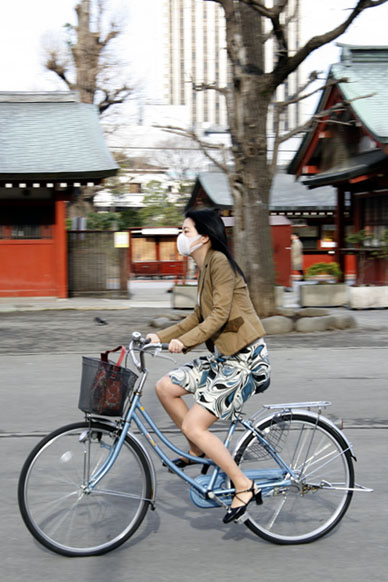 写真12