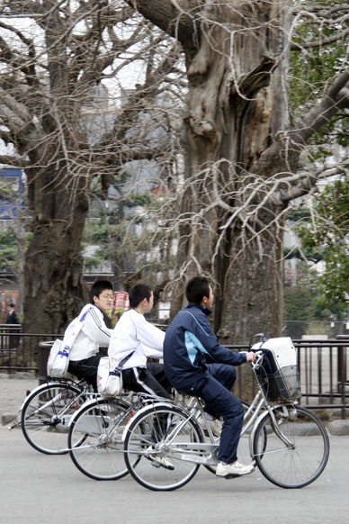写真3