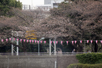 写真12