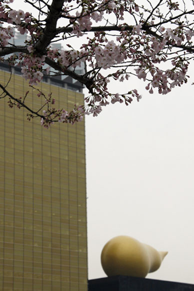 写真12