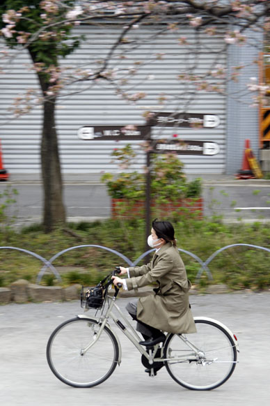 写真12
