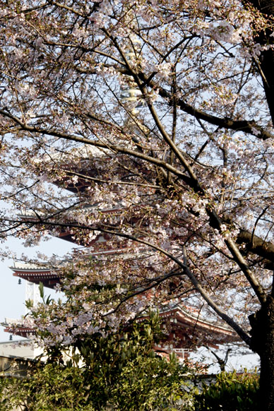 写真3