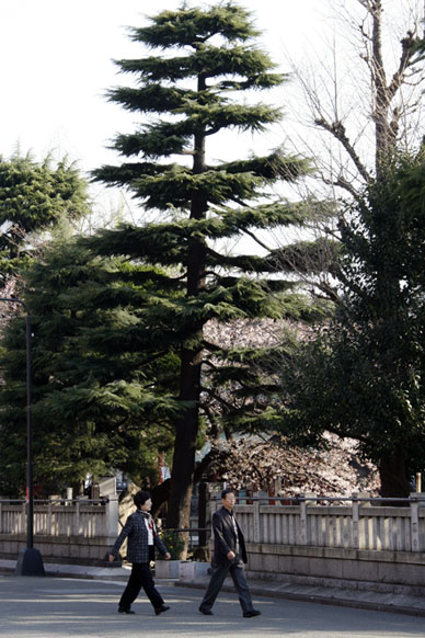写真12