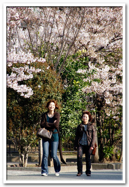 写真1