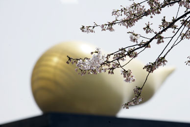 写真12