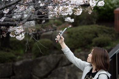 写真12