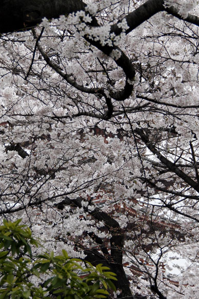 写真3