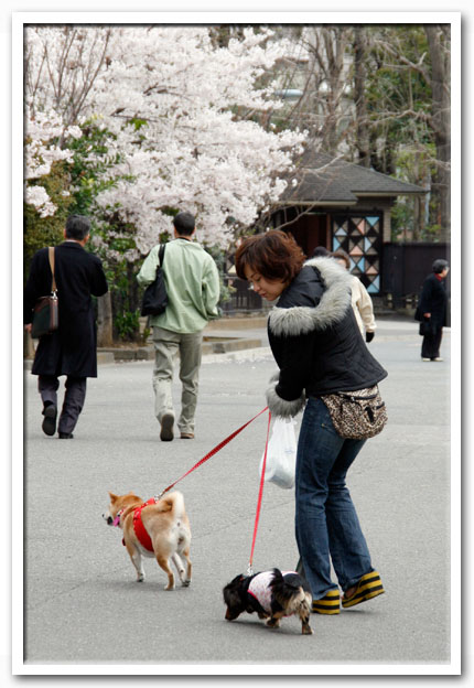 写真3
