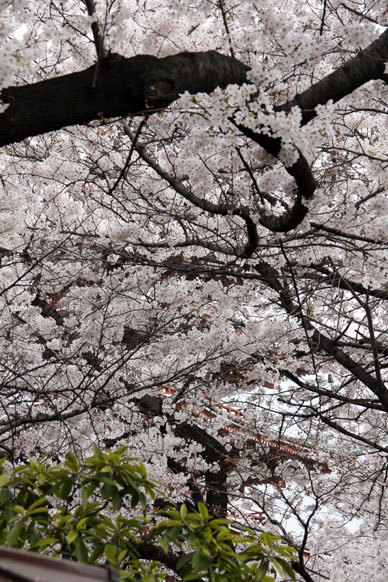写真3