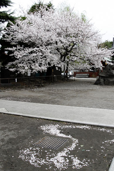 写真10