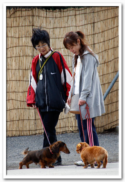 写真1