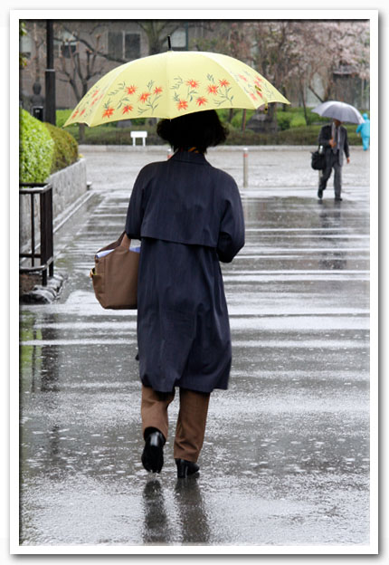 写真1
