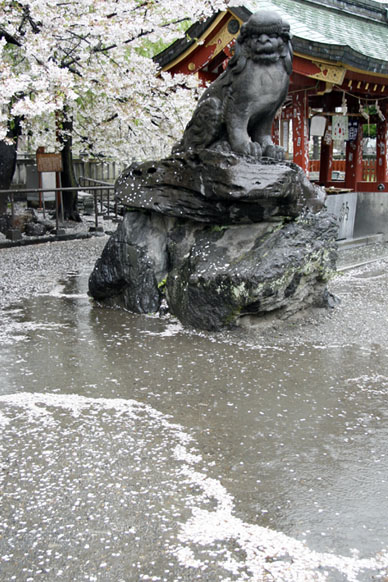 写真12
