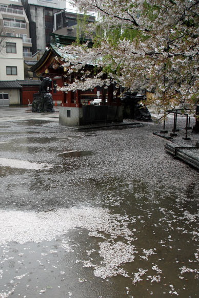 写真12
