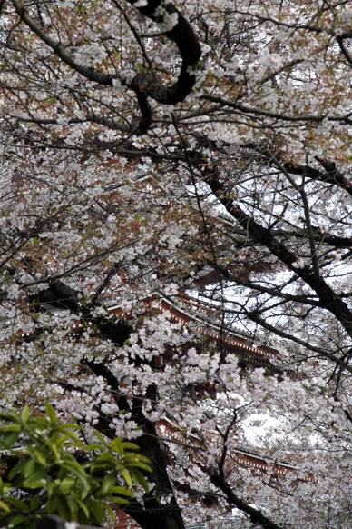 写真12
