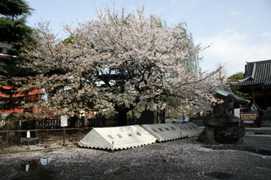 写真3