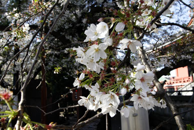写真12