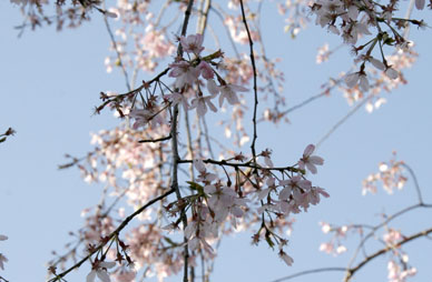 写真12
