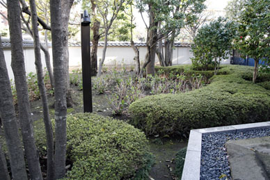 写真12