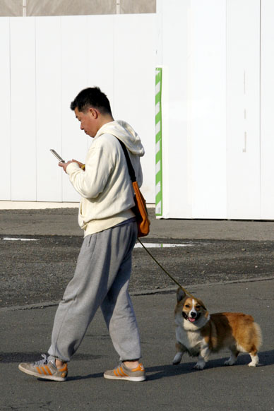 写真3