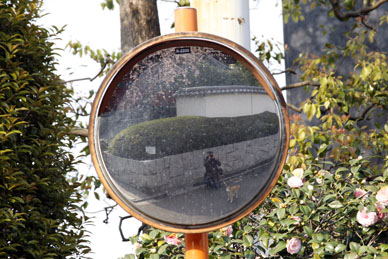 写真12