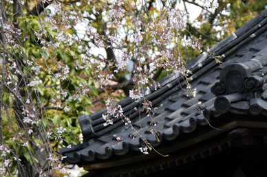 写真12