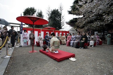 写真12