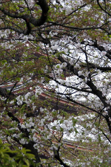 写真3