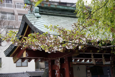 写真10