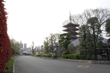 写真12