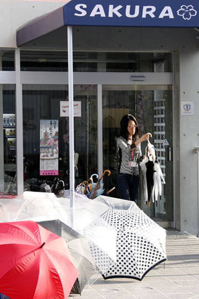 写真12